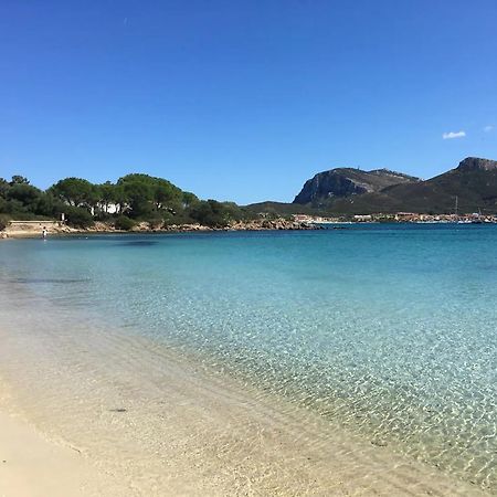 Appartamento Libeccio A 300M Dalla Spiaggia Golfo Aranci Esterno foto