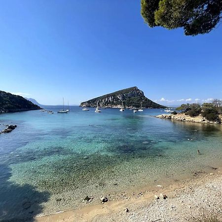 Appartamento Libeccio A 300M Dalla Spiaggia Golfo Aranci Esterno foto